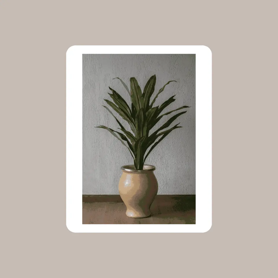 Planta Palo De Agua