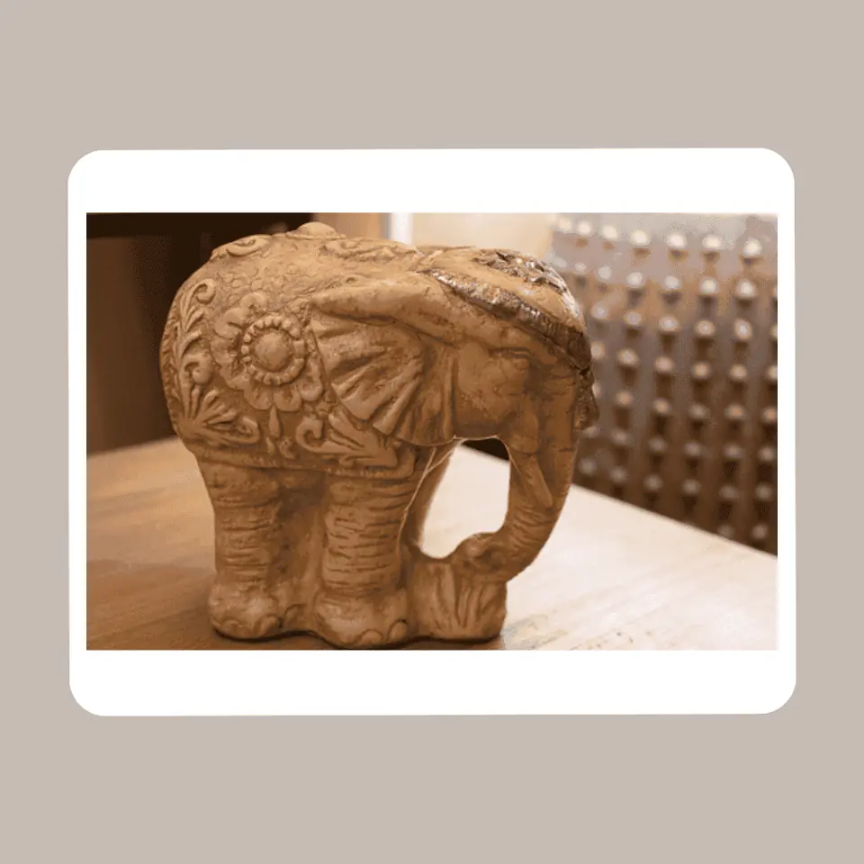 Elefante India Chico