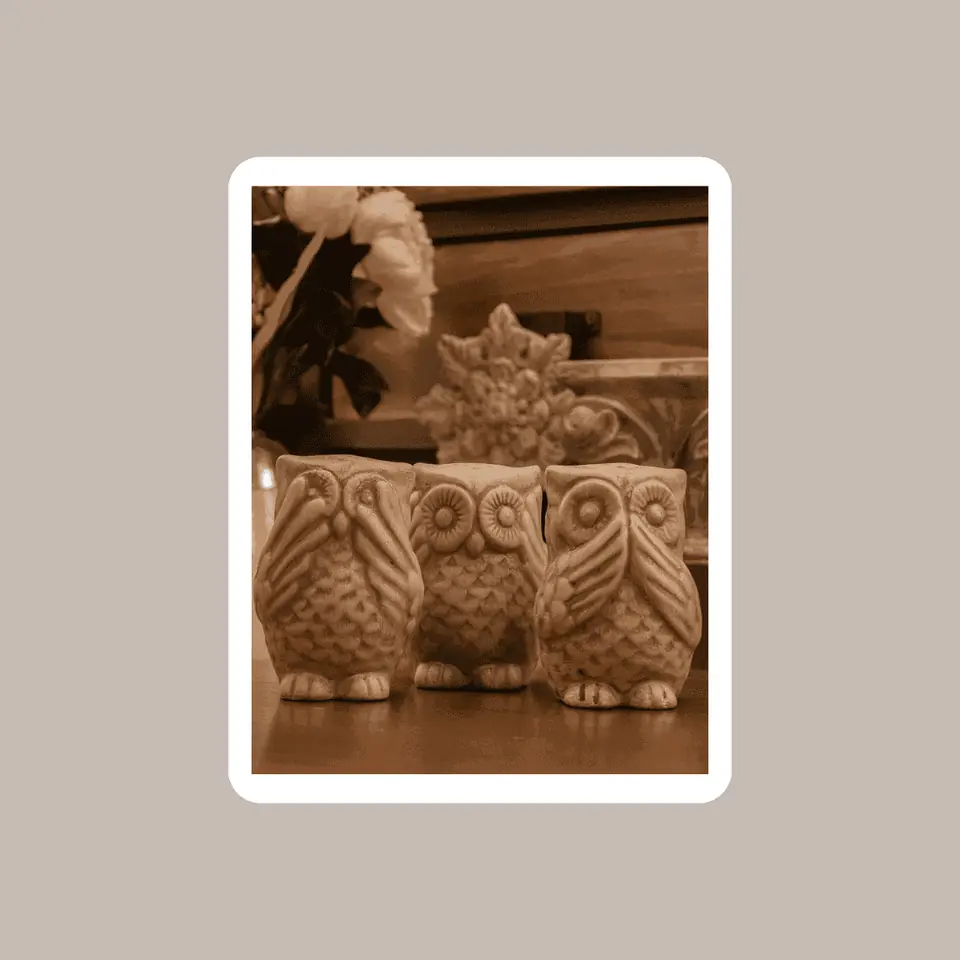 Set de Búhos