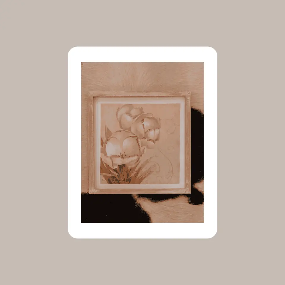 Cuadro Flor Tulipán 1