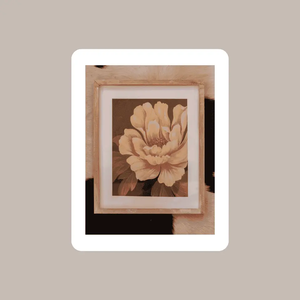 Cuadro Flor Marimoña 2