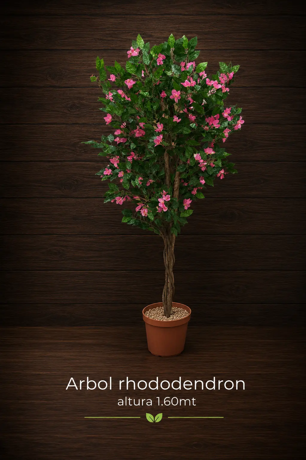 Arbol Rhododendron