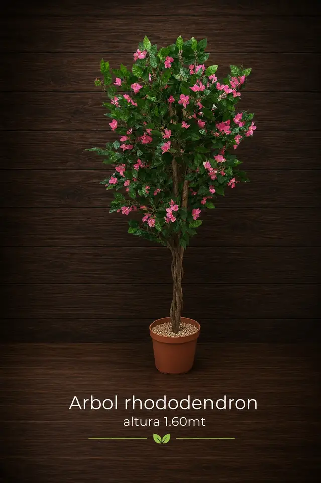 Arbol Rhododendron