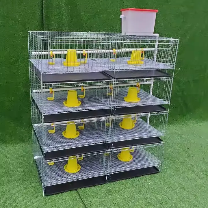 Jaula para pollos