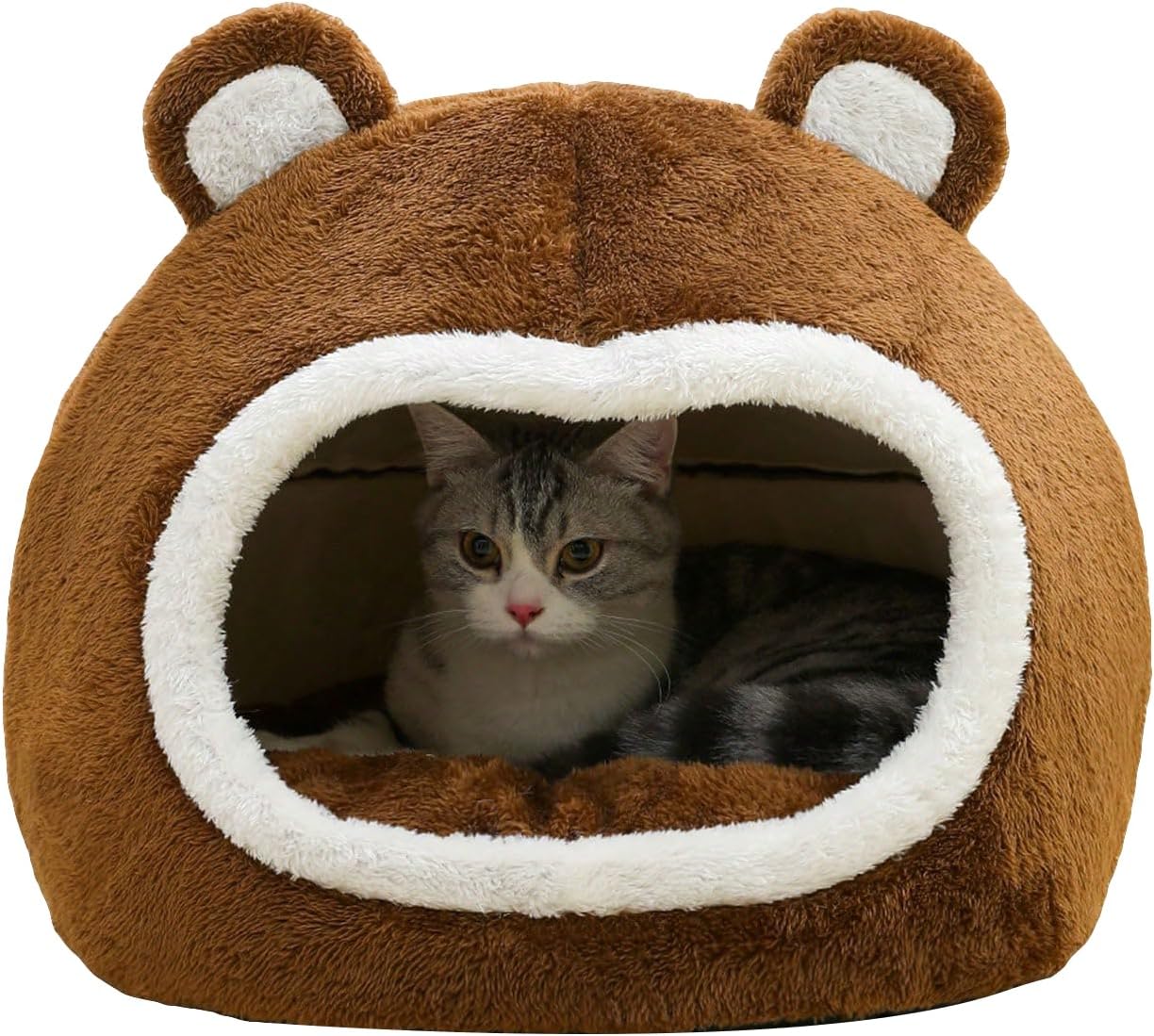 Cucha oso mediana OM-02