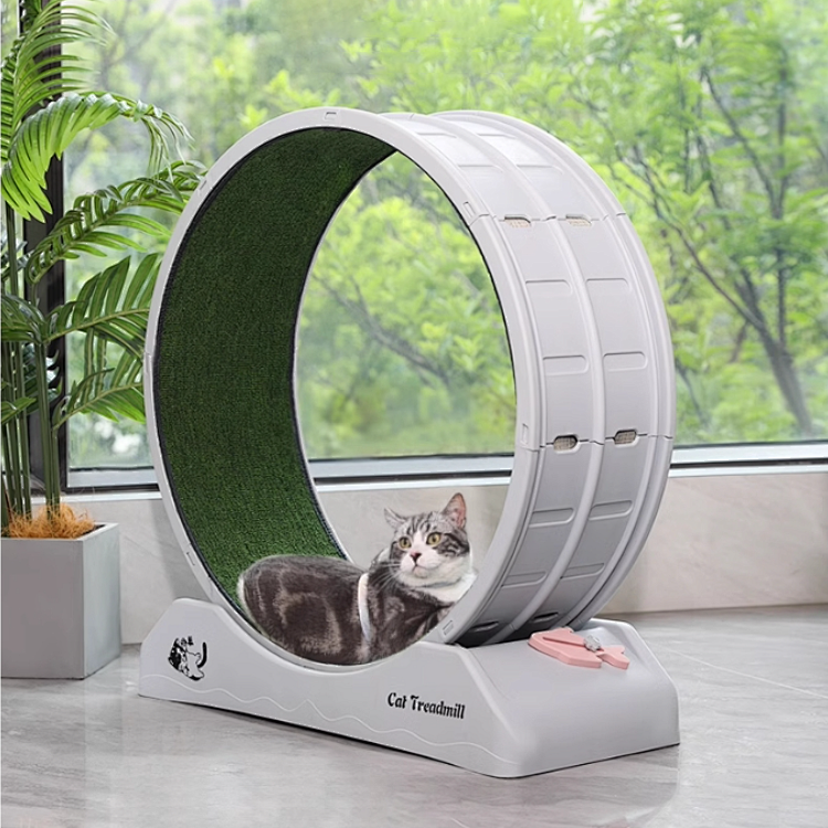 Rueda caminadora de ejercicio para gatos