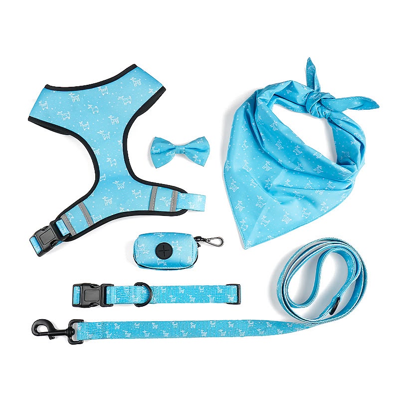Kit arnés 6 en 1