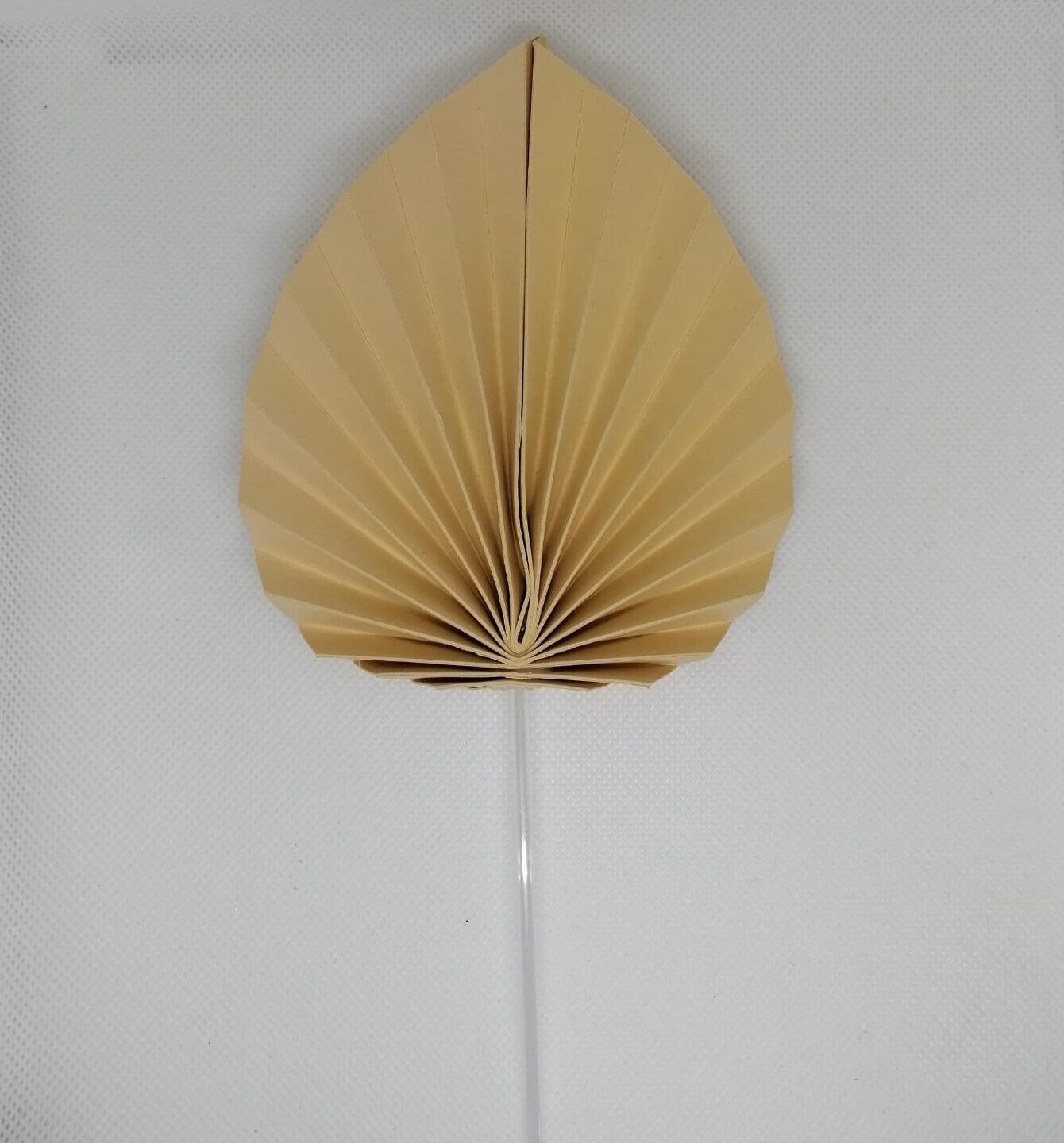 Abanico cartulina comun
