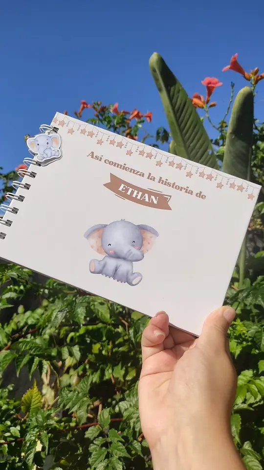 Libro del bebé