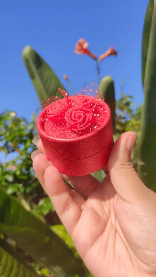 Anillero duo rojo