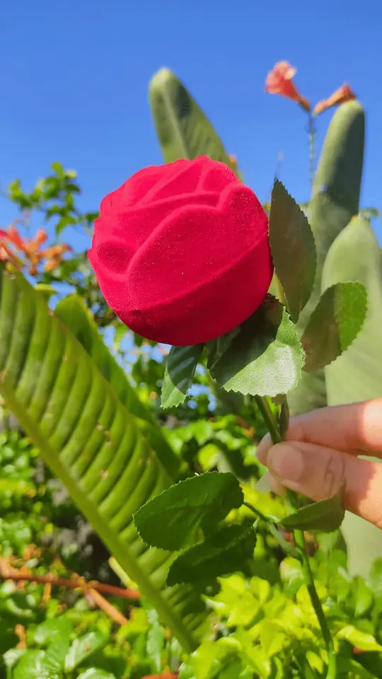 Anillero flor eterna