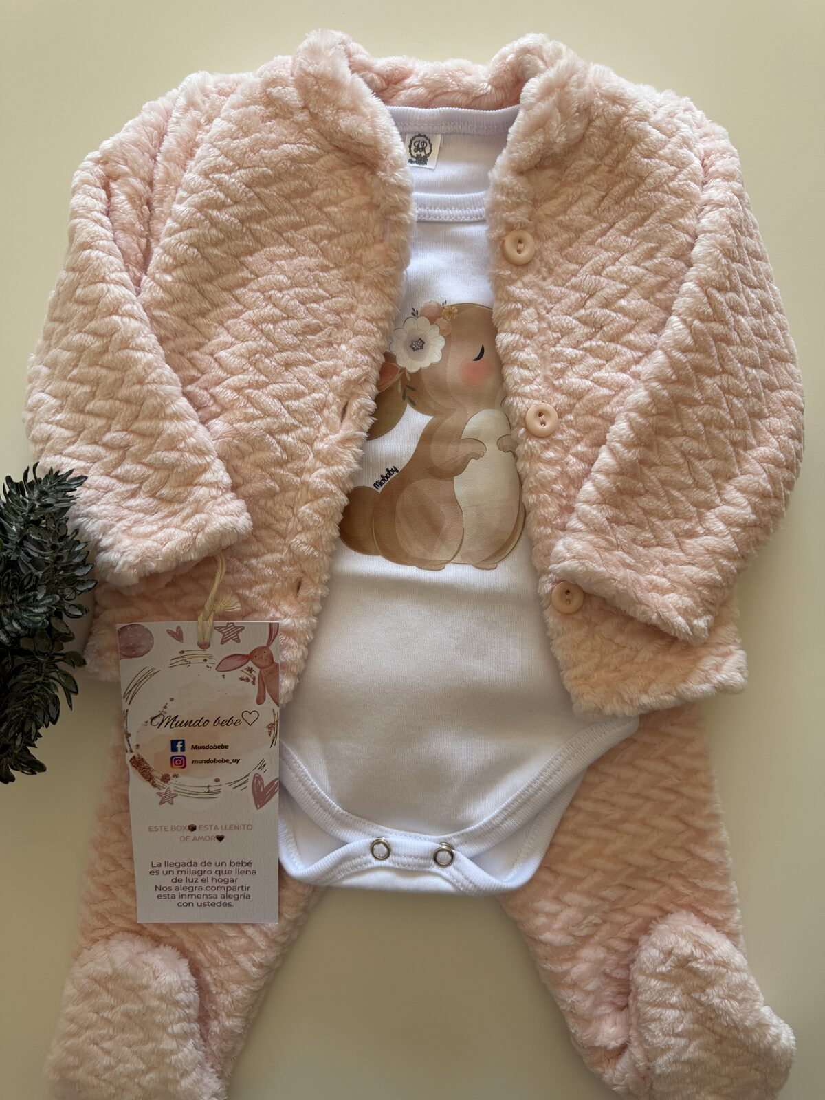 Conjunto plush labrado + body de algodón