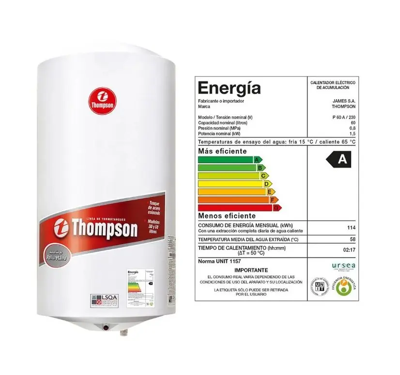 TERMOTANQUE THOMPSON 60 LTS CLASE A