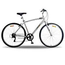 BICICLETA OKAN VIENA 28 HOMBRE GRIS