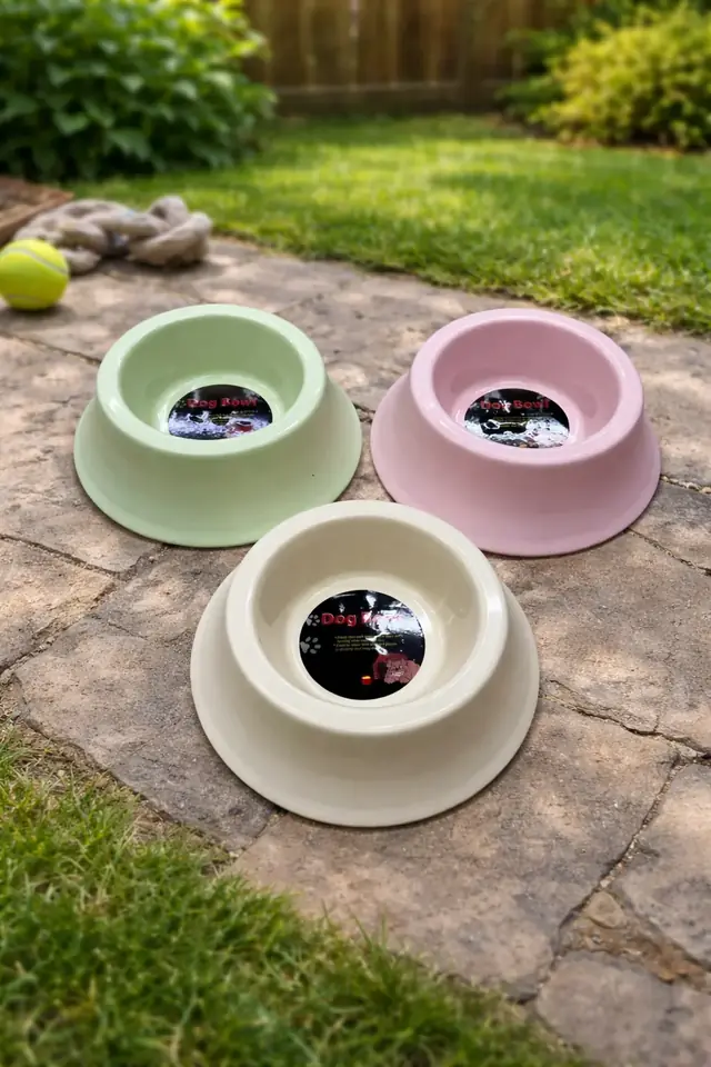 Tazón Plato para Mascota Base antideslizante
