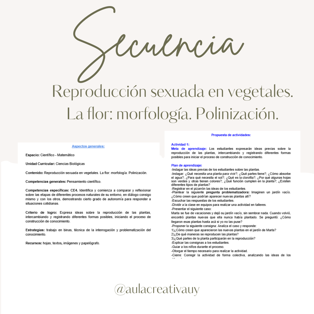 Secuencia - Reproducción sexuada en vegetales. La flor: morfología. Polinización