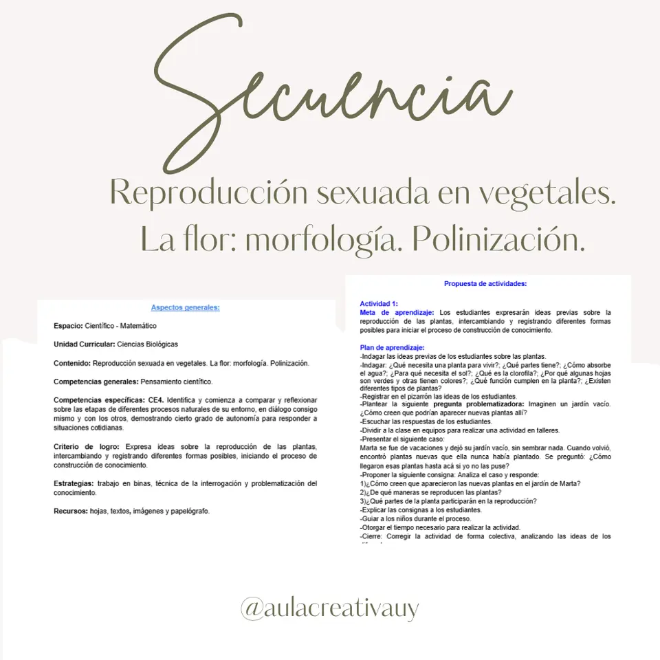 Secuencia - Reproducción sexuada en vegetales. La flor: morfología. Polinización