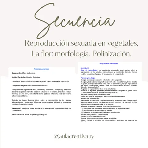 Secuencia - Reproducción sexuada en vegetales. La flor: morfología. Polinización