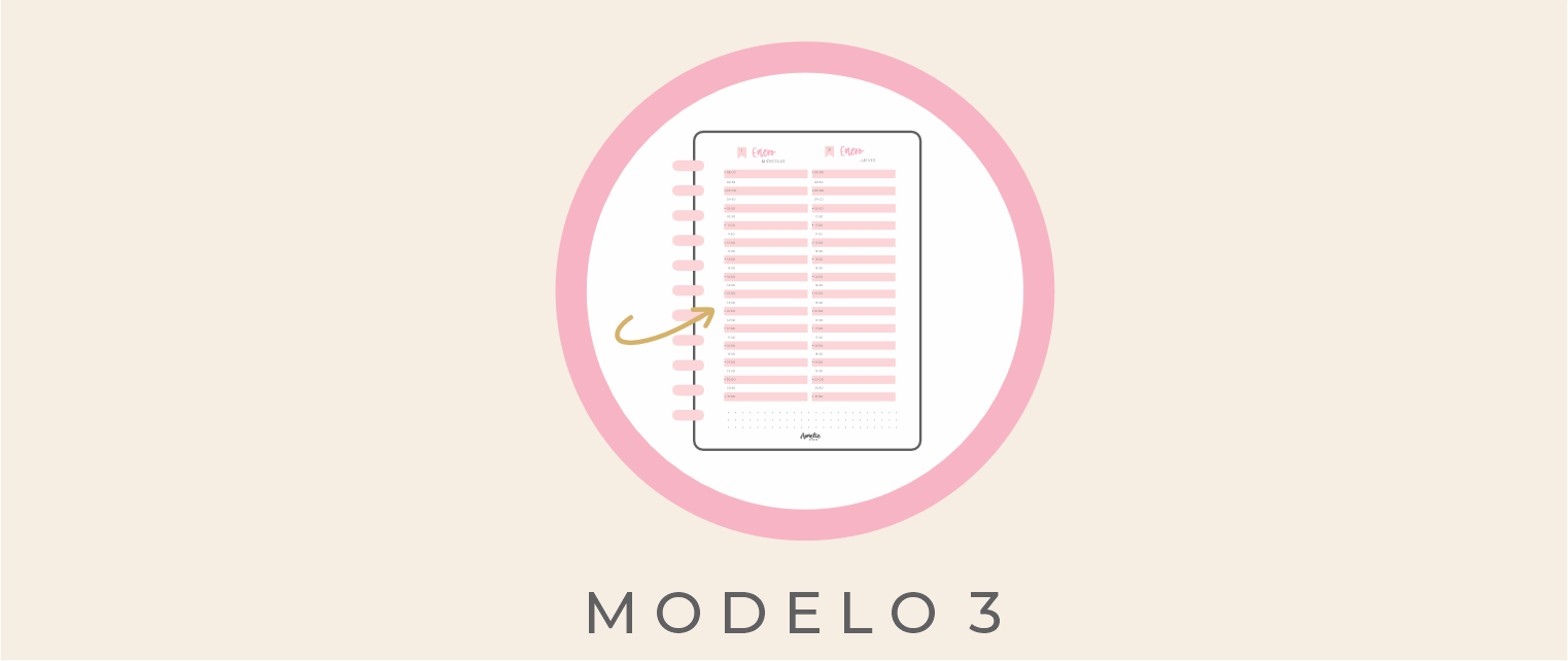 AGENDA MODELO 3 CITAS