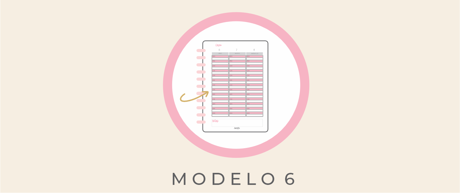 AGENDA MODELO 6 CITAS