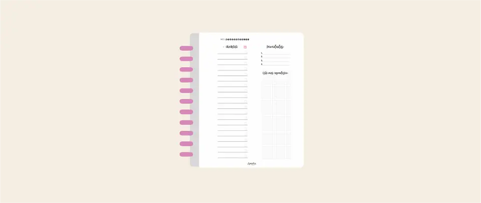 PLANNER SEMANA A LA VISTA HORIZONTAL ( 2 HOJAS ) MÁS CHECKLIST