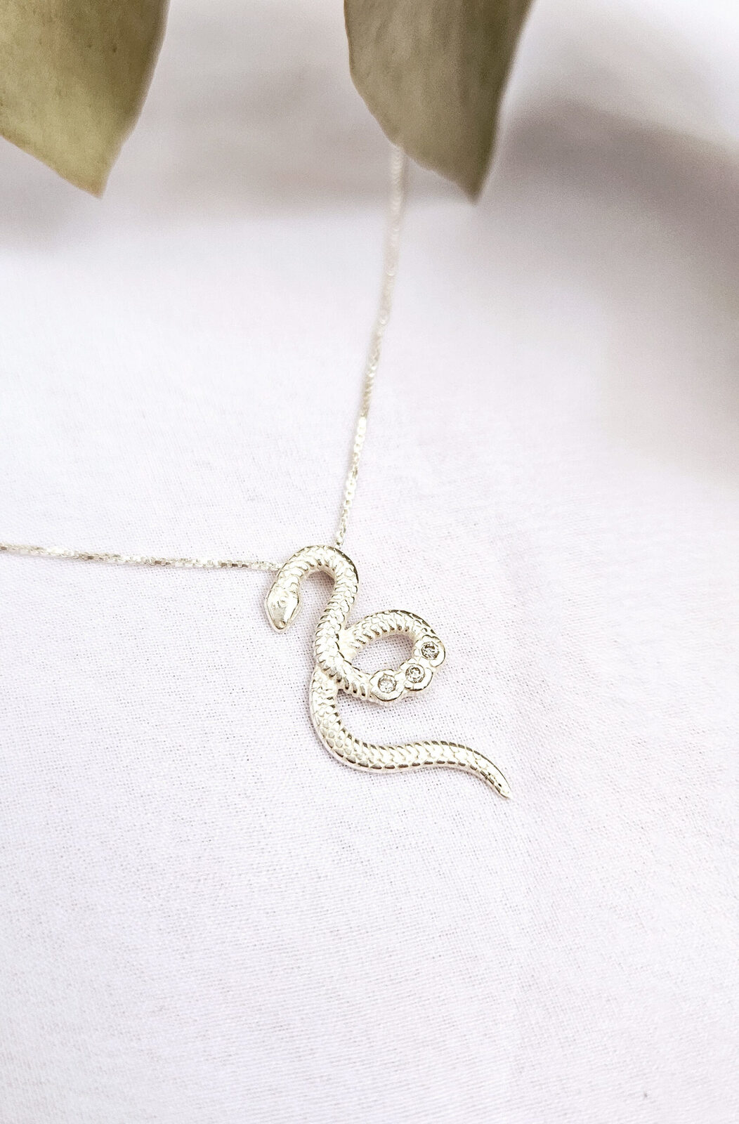 Conjunto cadena y dije Serpiente