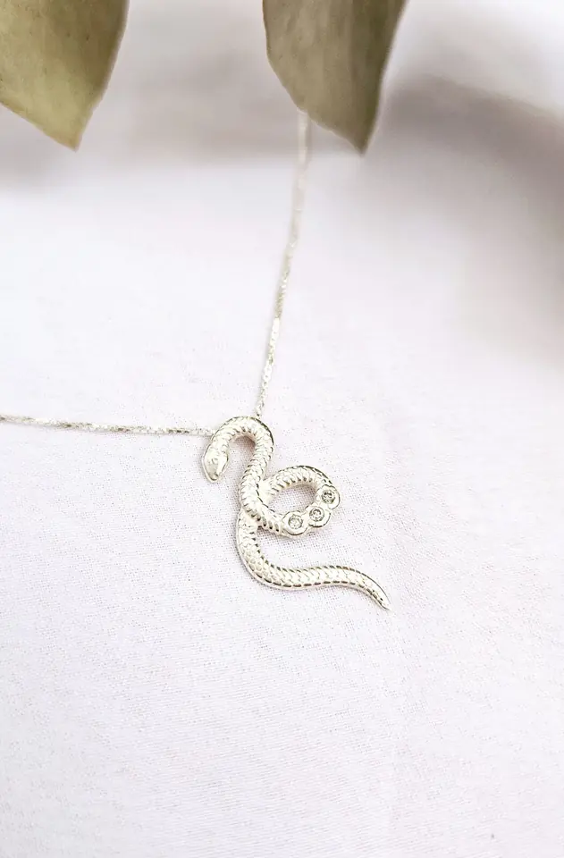 Conjunto cadena y dije Serpiente