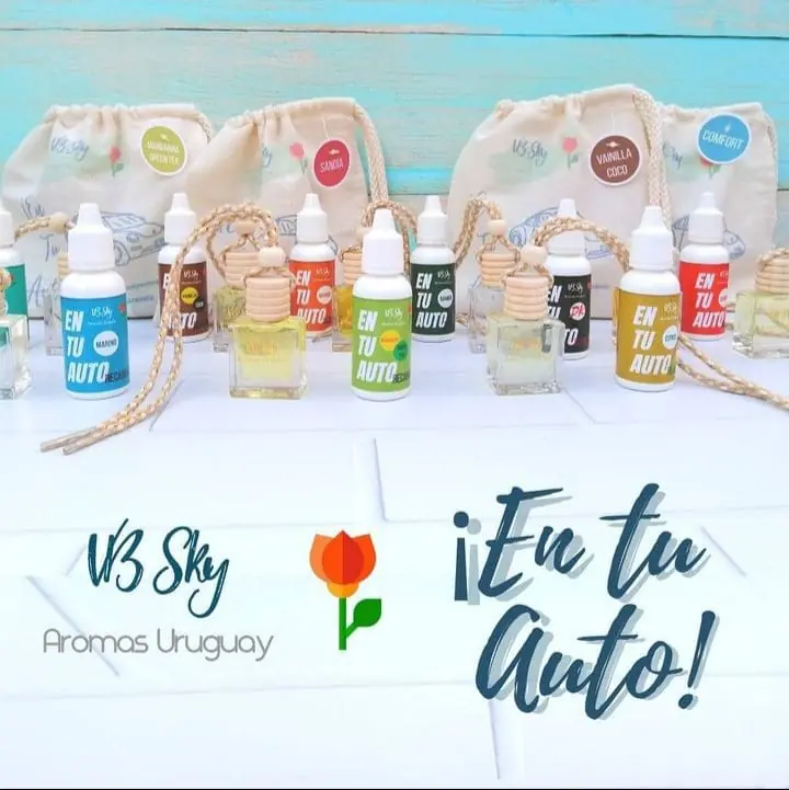 Perfumador para auto + recarga