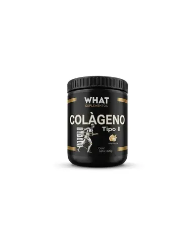 Colágeno Tipo II 300 g. Sabor Naranja