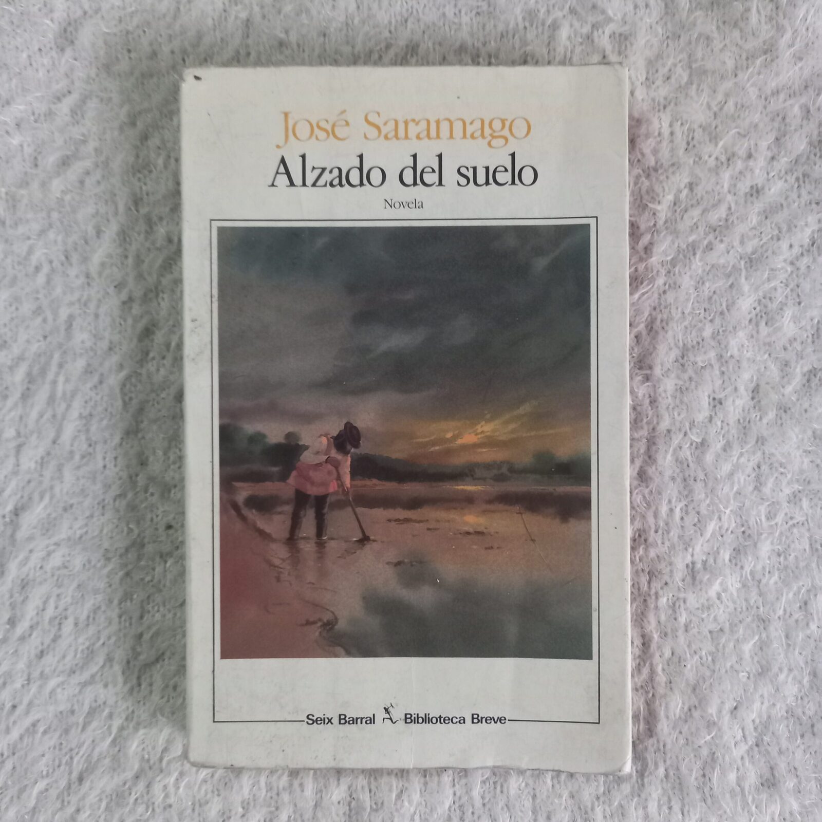 Alzado del suelo. José Saramago