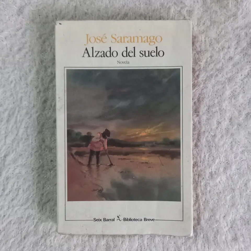 Alzado del suelo. José Saramago