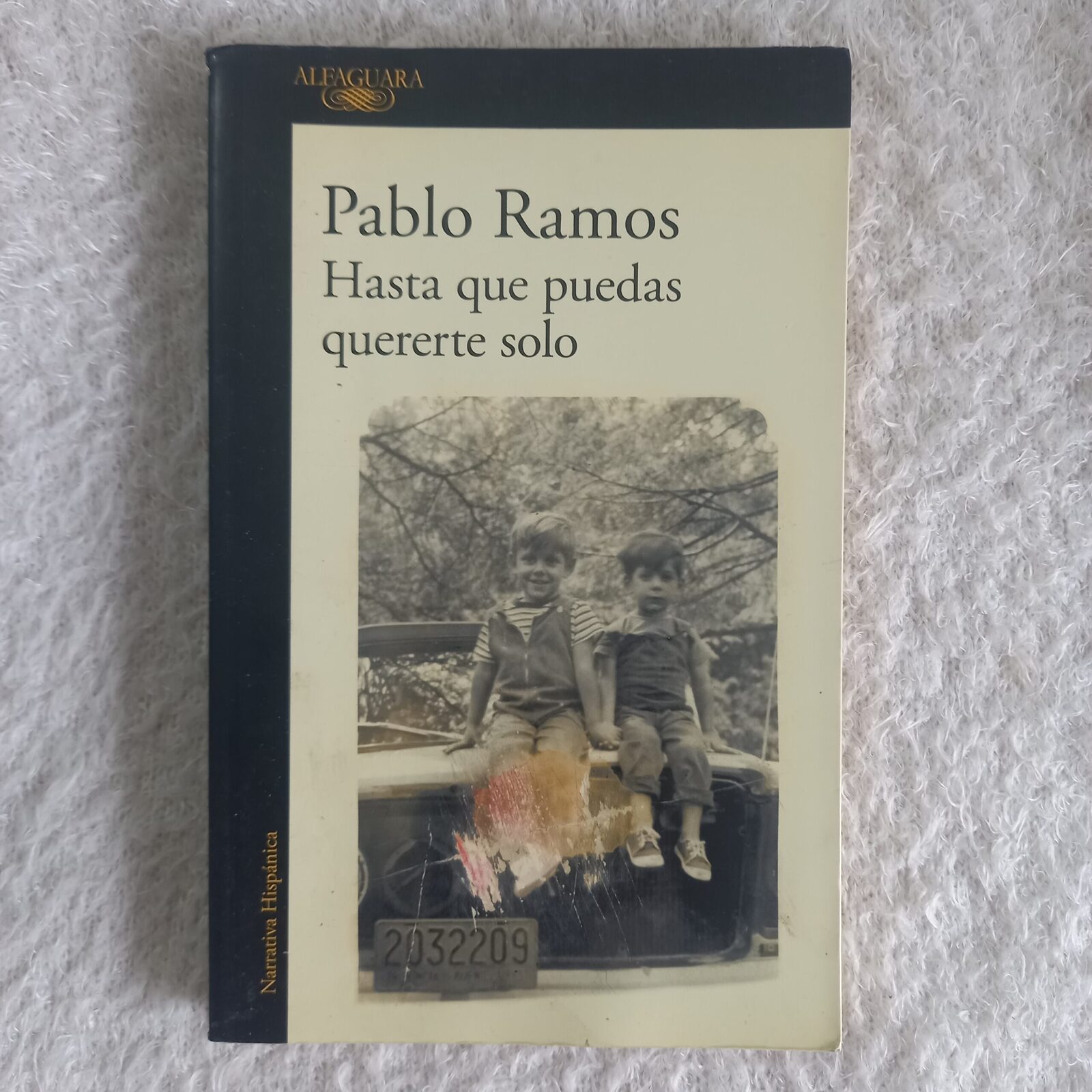 Hasta que puedas quererte solo. Pablo Ramos