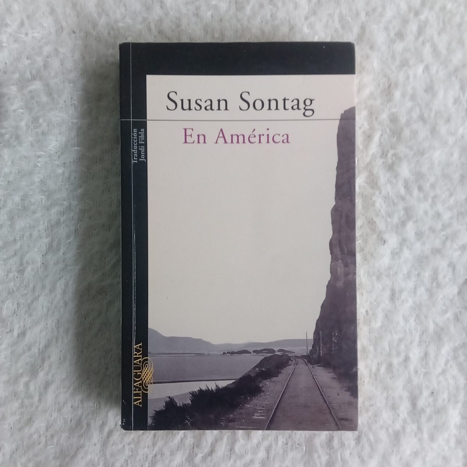 En América.  Susan Sontag