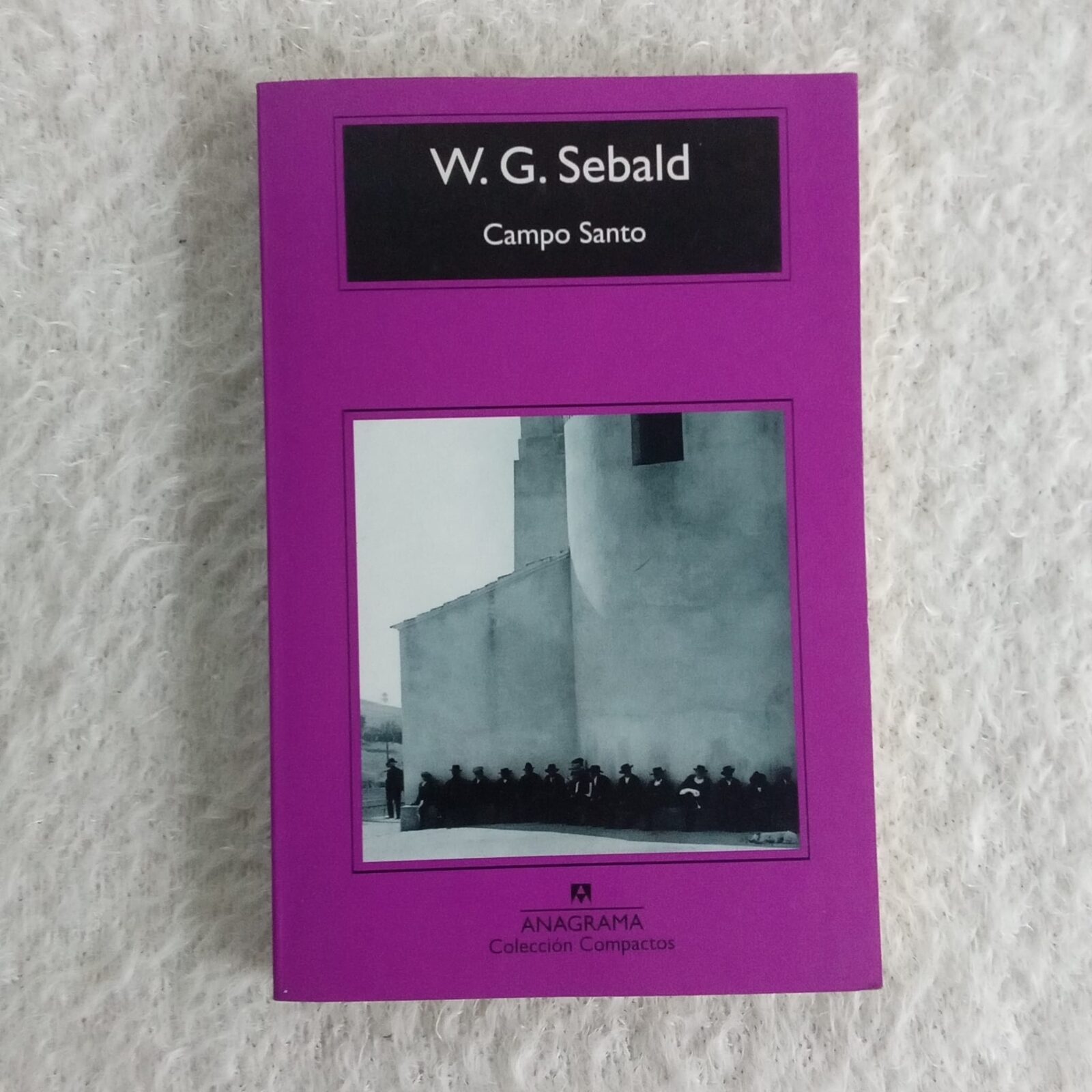 Campo santo. W G Sebald. Ed Anagrama