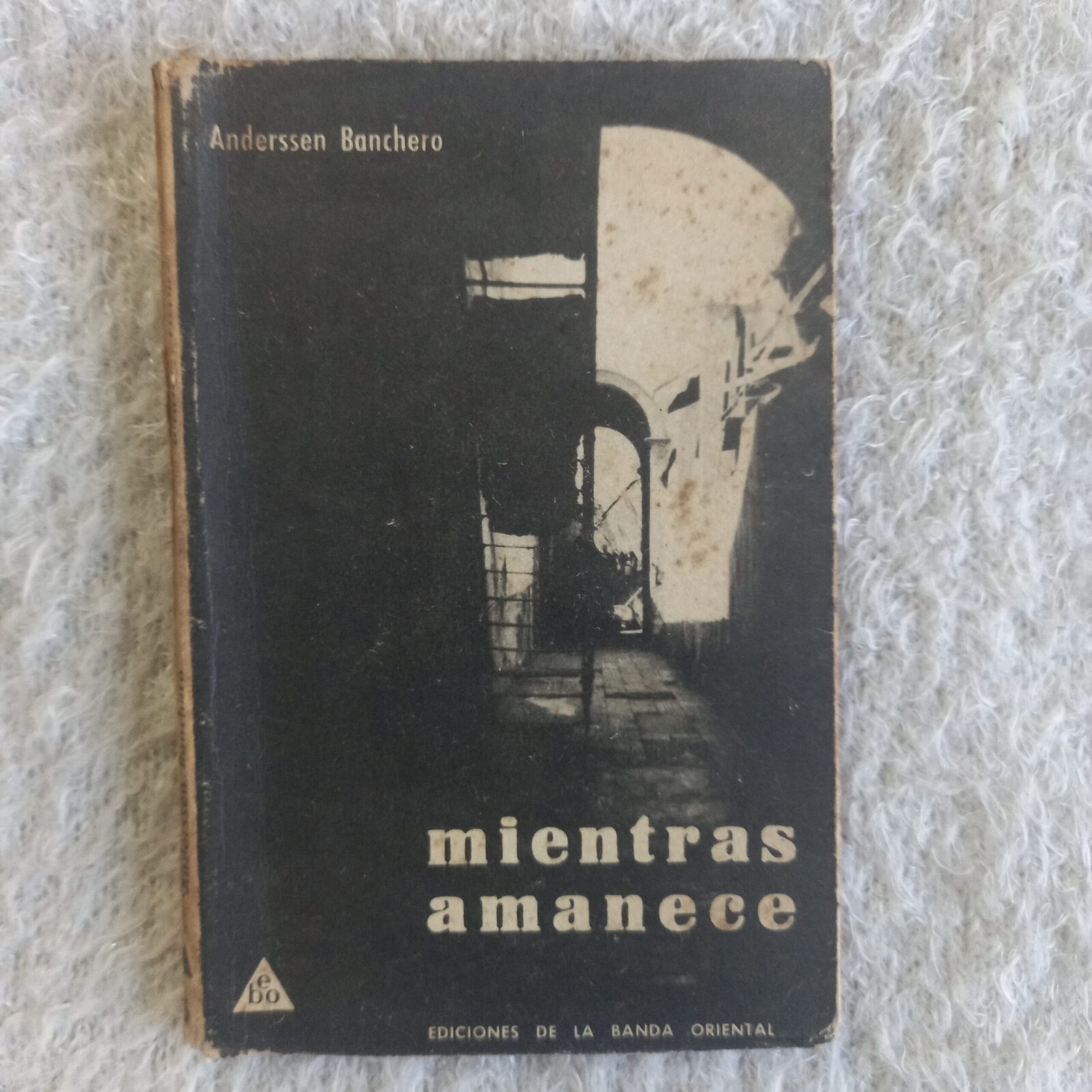 Mientras amanece. Anderssen Banchero