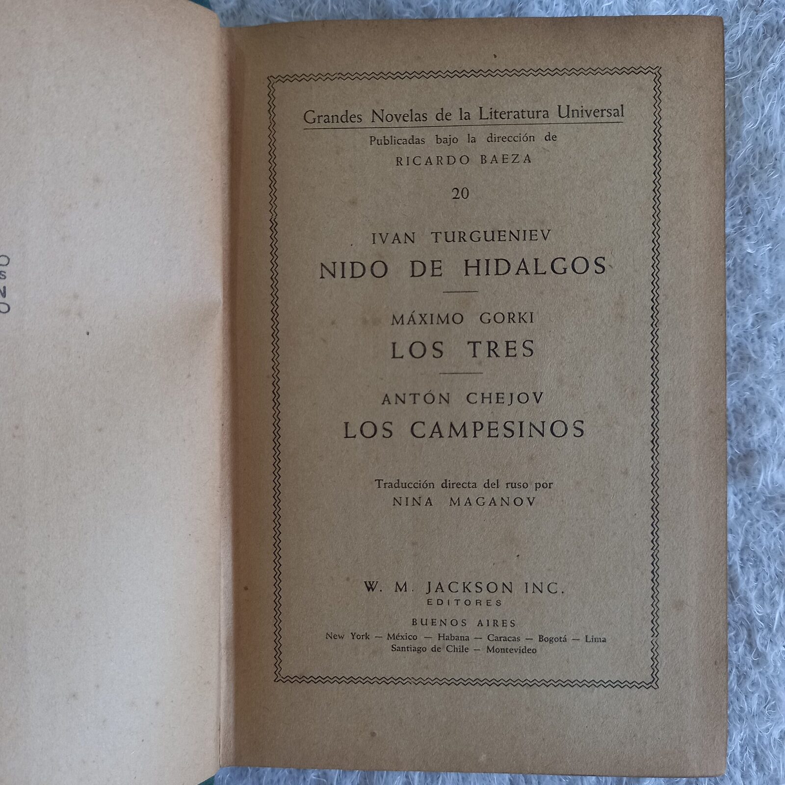 Grandes novelas de la literatura universal