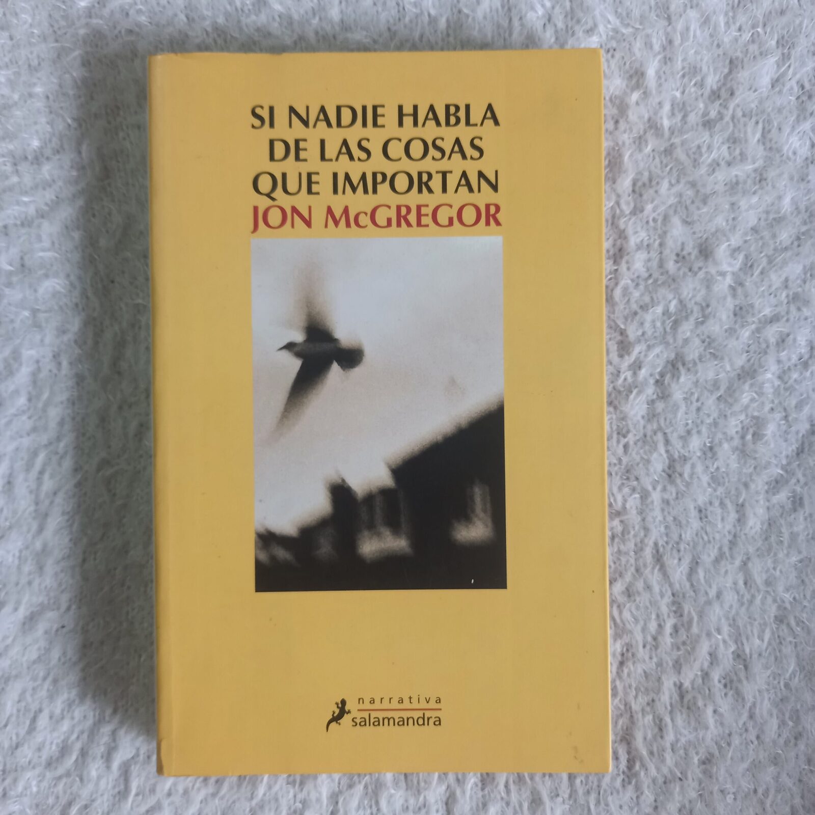 Si nadie habla de las cosas que importan. Jon McGregor