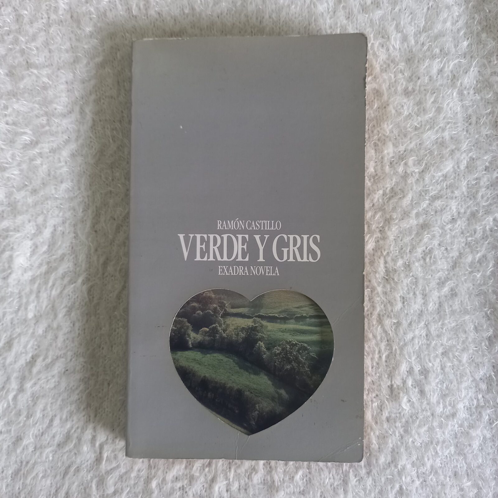 Verde y gris. Ramón Castillo