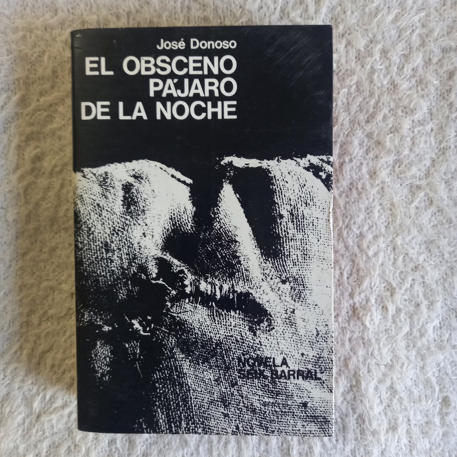 El obsceno pájaro de la noche. José Donoso