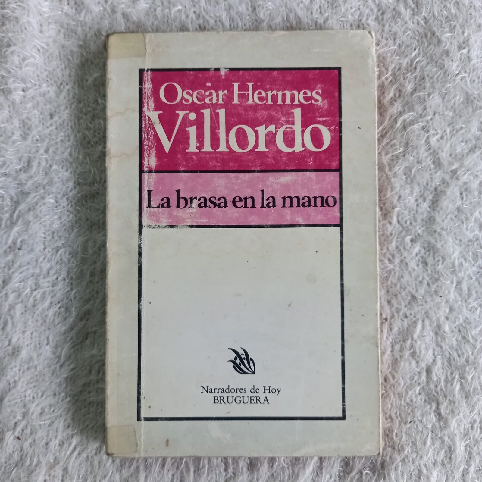 La brasa en la mano. Oscar Hermes Villordo