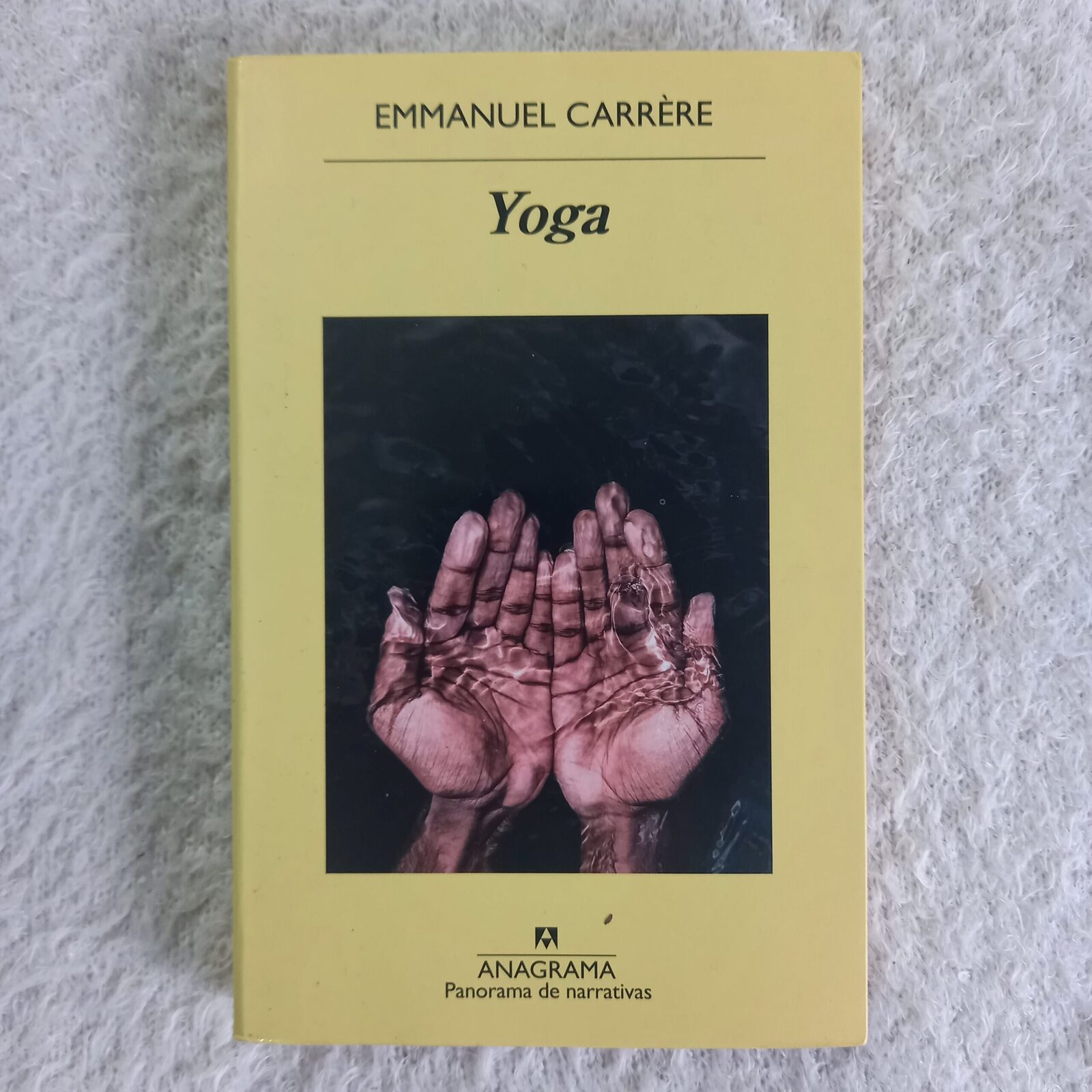 Yoga. Emmanuel Carrère