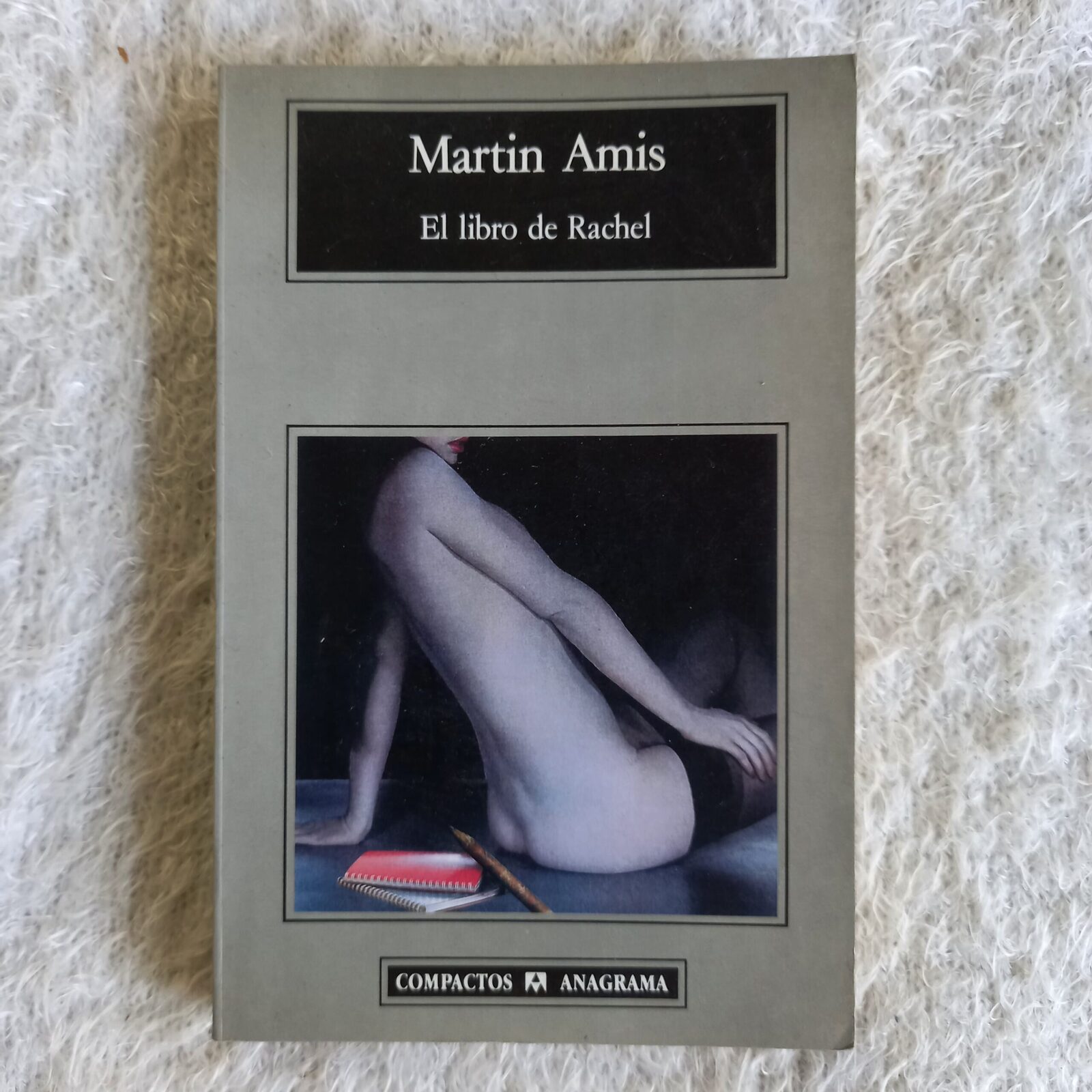 El libro de Rachel. Martin Amis