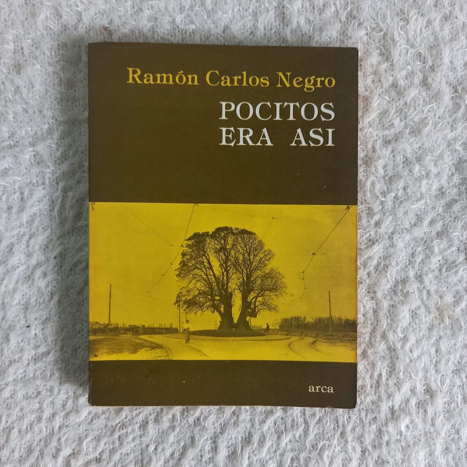 Pocitos era así. Ramón Carlos Negro