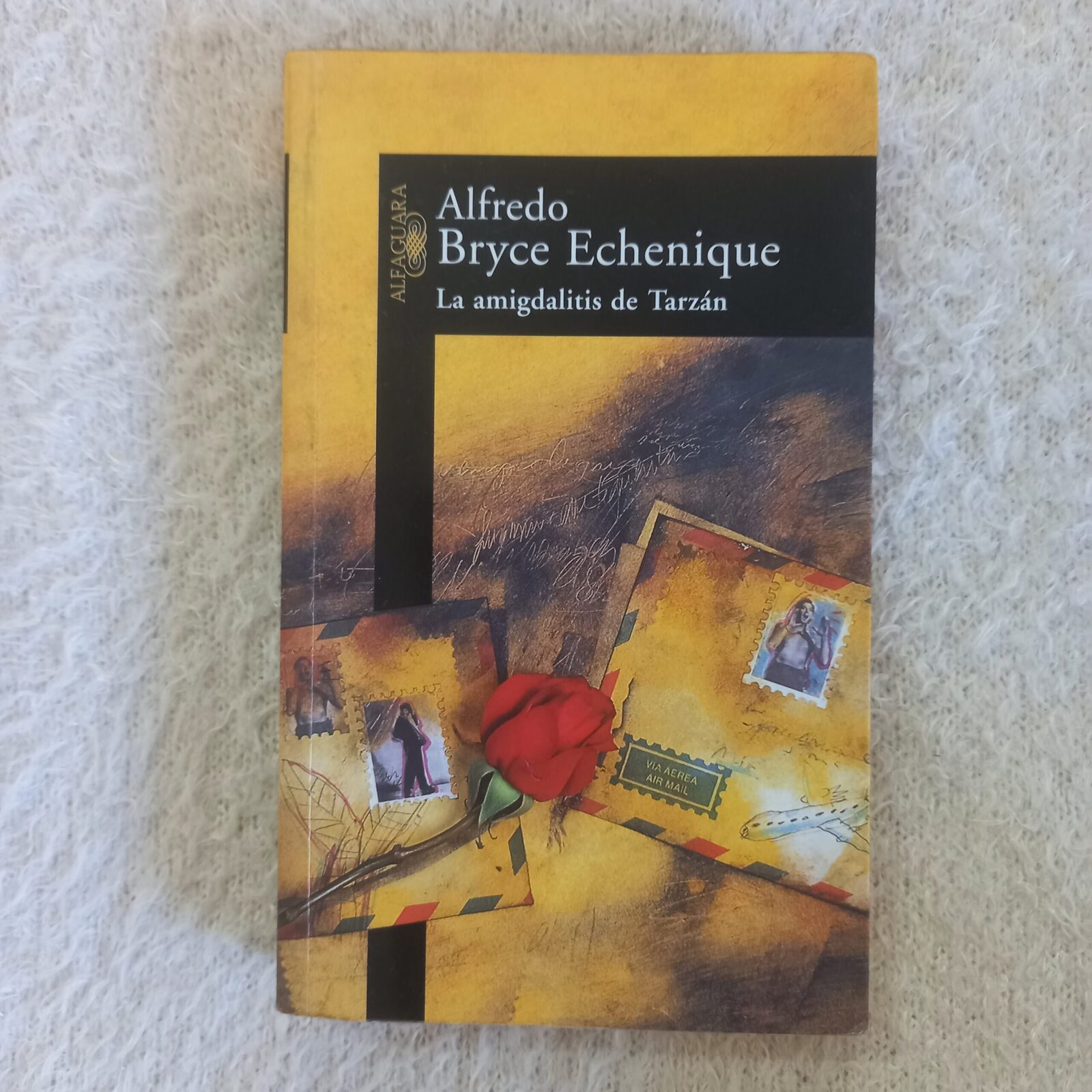 La amigdalitis de Tarzán. Alfredo Bryce Echenique