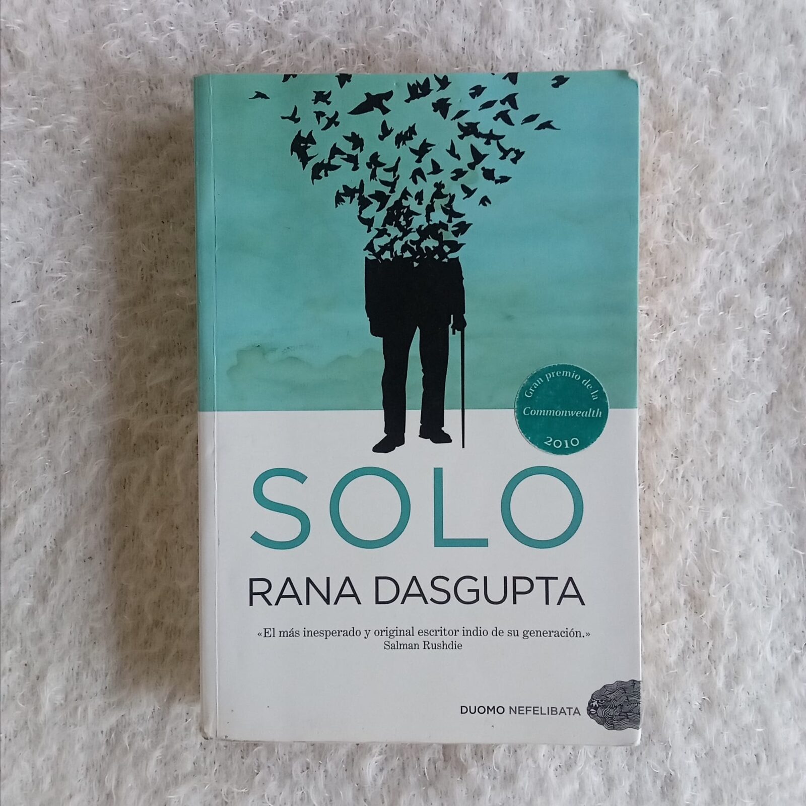 Solo. Rana Dasgupta