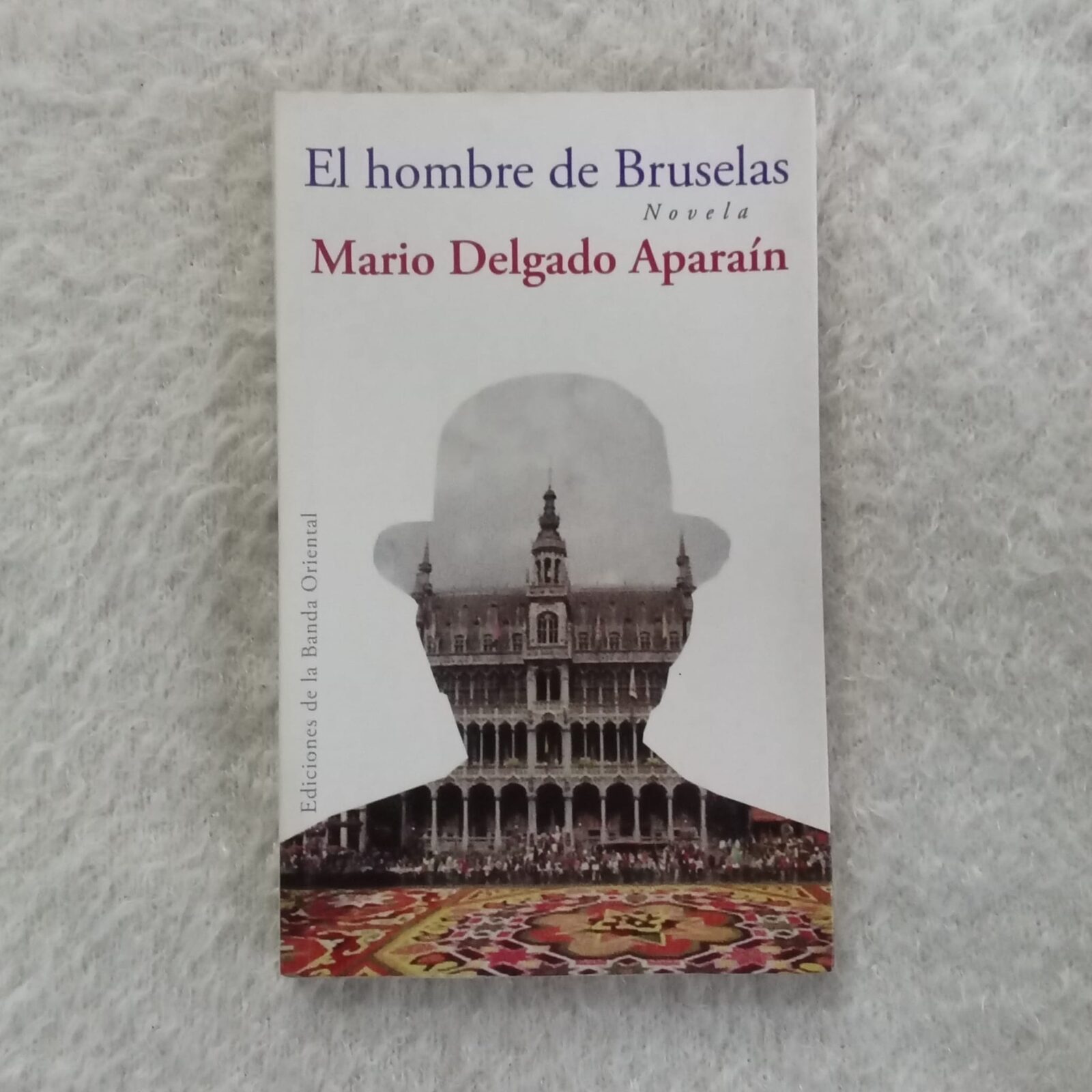 El hombre de Bruselas. Mario Delgado Aparaín