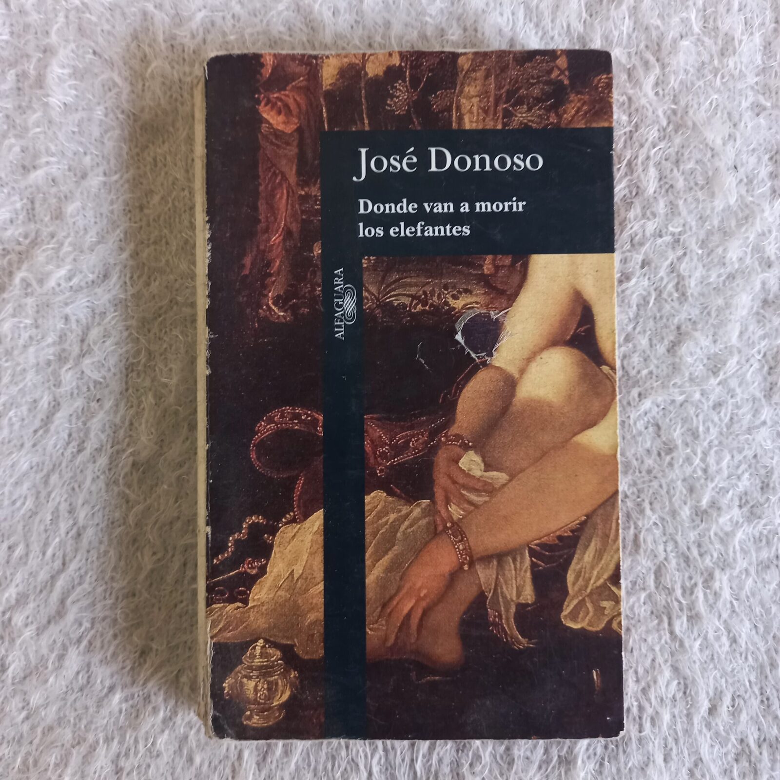 Donde van a morir los elefantes. José Donoso