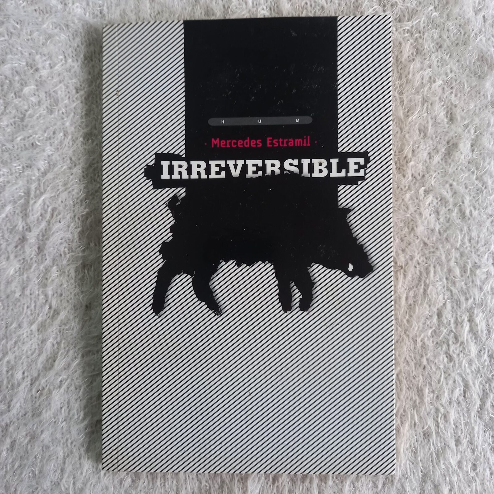 Irreversible. Mercedes Estramil