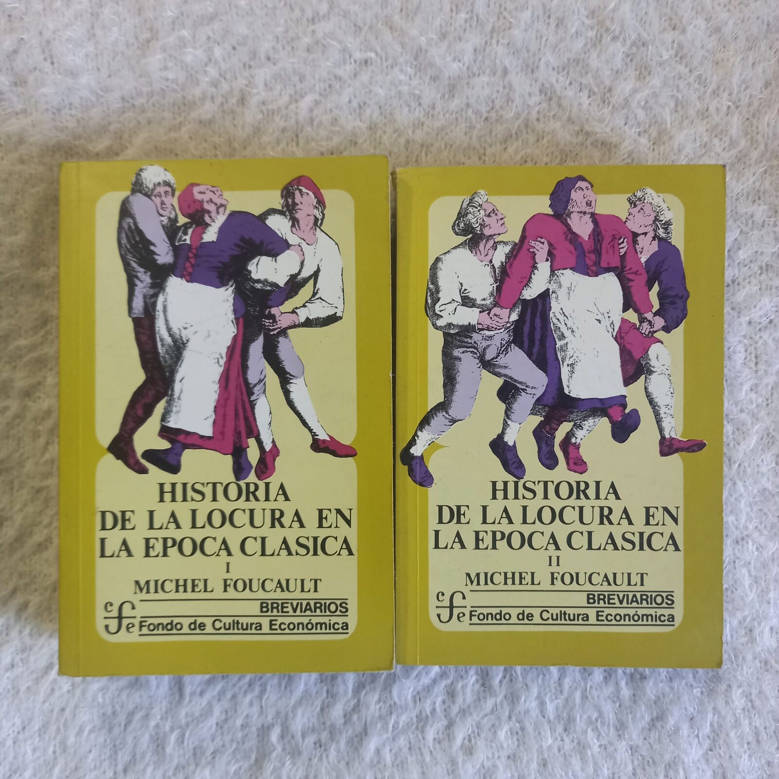 Historia de la locura en la época clásica. Michel Foucault