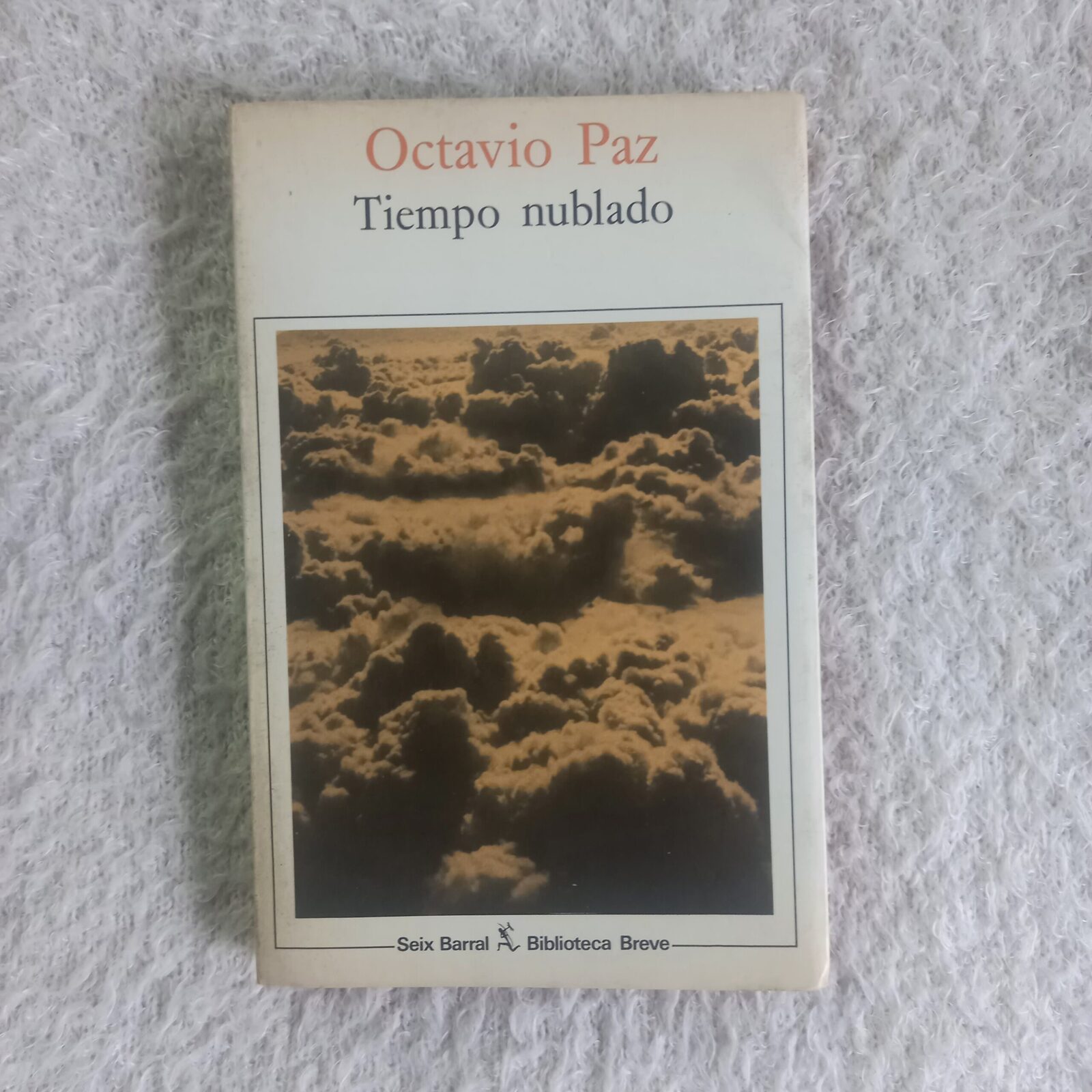 Tiempo nublado. Octavio Paz
